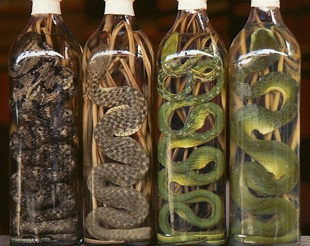 10 уникальных алкогольных напитков