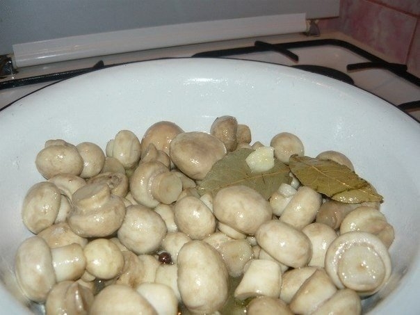 Маринуйте грибы сами. Маринуйте грибы сами.