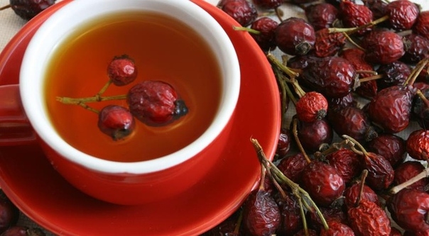 КАК ПРАВИЛЬНО ЗАВАРИТЬ ШИПОВНИК И СОХРАНИТЬ ВИТАМИНЫ