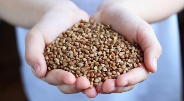 КАК ВЫБРАТЬ ХОРОШУЮ ГРЕЧКУ В МАГАЗИНЕ КАК ВЫБРАТЬ ХОРОШУЮ ГРЕЧКУ В МАГАЗИНЕ