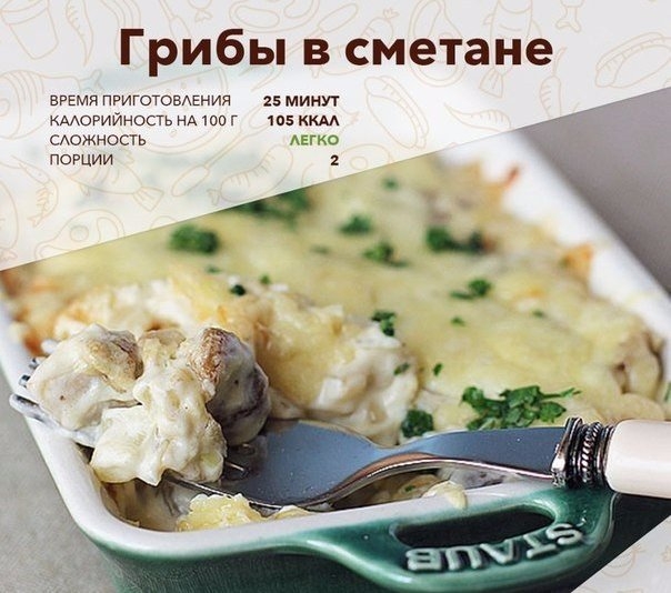 Грибы в сметане — приятный грибной ужин Грибы в сметане — приятный грибной ужин