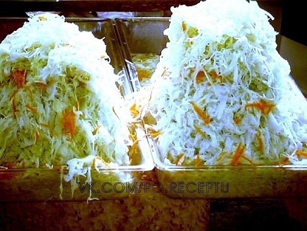 Четыре простых и вкусных рецепта квашенной капусты. Заварная капуста.