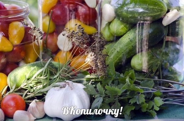ТОП-5 МАРИНАДОВ ДЛЯ ЗАГОТОВОК. ТОП-5 МАРИНАДОВ ДЛЯ ЗАГОТОВОК.