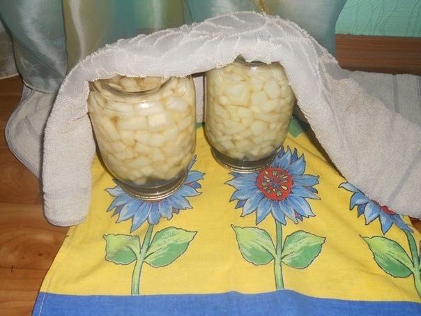 Дыня на зиму в сахарном сиропе с ванилином Дыня на зиму в сахарном сиропе с ванилином