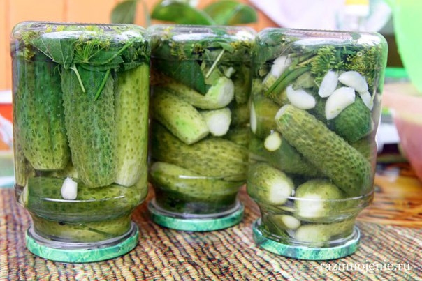 Маринованные огурцы. Надёжный рецепт!