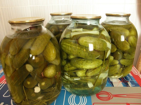 Солёные огурцы. Надёжный рецепт!