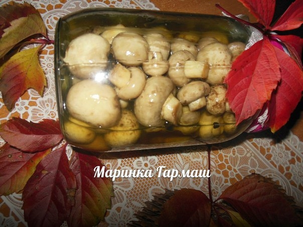 Маринованные шампиньоны"2 часа"...