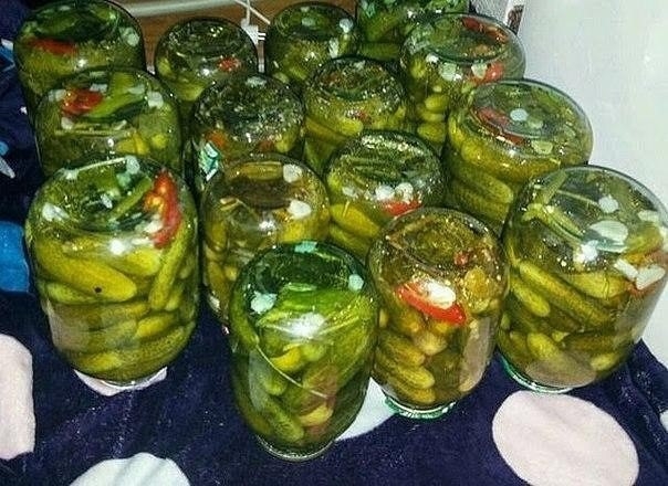 КОНСЕРВИРОВАНИЕ ОГУРЦОВ В ХОЛОДНОЙ ВОДЕ КОНСЕРВИРОВАНИЕ ОГУРЦОВ В ХОЛОДНОЙ ВОДЕ