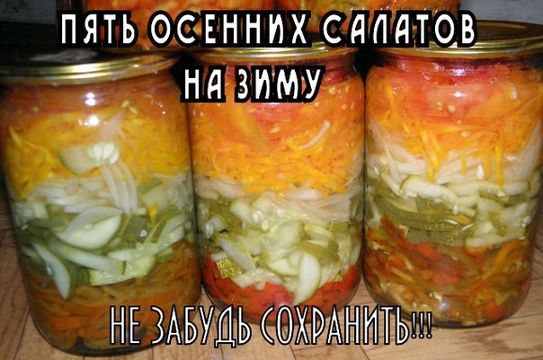 ЗИМНИЕ ЗАГОТОВКИ В СЕНТЯБРЕ