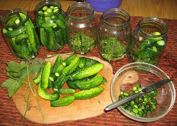 Крепенькие остро-сладкие ОГУРЦЫ "Аля Верес" Крепенькие остро-сладкие ОГУРЦЫ "Аля Верес"