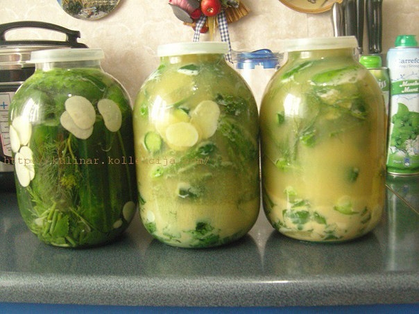 Соленые огурцы с горчицей от Натальи Карпушенковой
