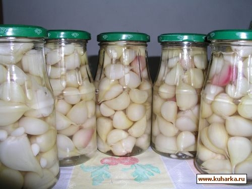 Солёный чеснок на зиму Солёный чеснок на зиму