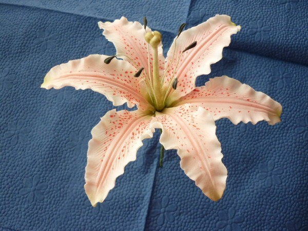 Пошаговый мастер класс - лепим лилию из мастики!