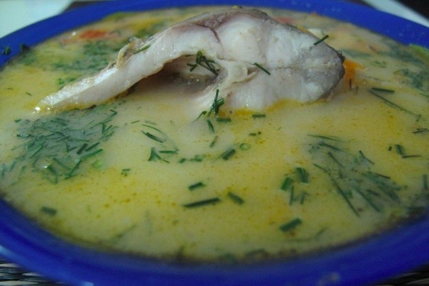 Уха из речной рыбы