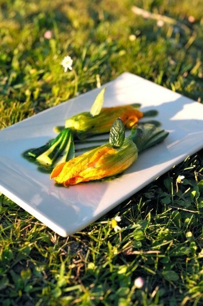 Цуккини, фаршированные брандадой и песто