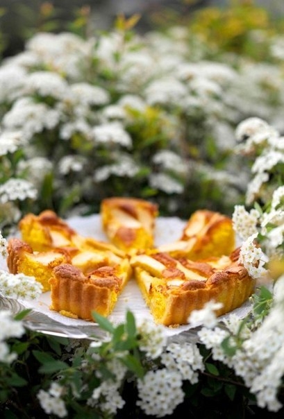 Нежнейший пирог с рикоттой