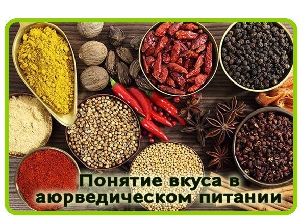 ПОНЯТИЕ ВКУСА В АЮРВЕДИЧЕСКОМ ПРИТАНИИ