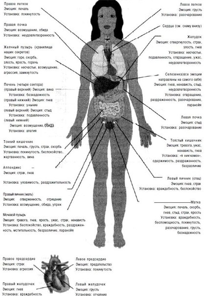 КАК ТЕЛО ВЗЫВАЕТ О ПОМОЩИ