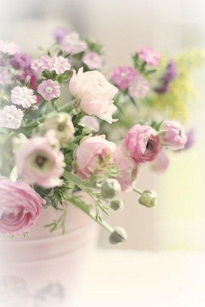 С добрым утром!▼