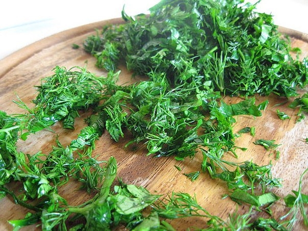 Как долго и правильно хранить зелень в холодильнике