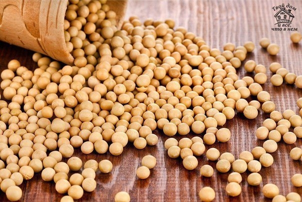Эти 6 продуктов способны предотвратить рак молочной железы! Эти 6 продуктов способны предотвратить рак молочной железы!