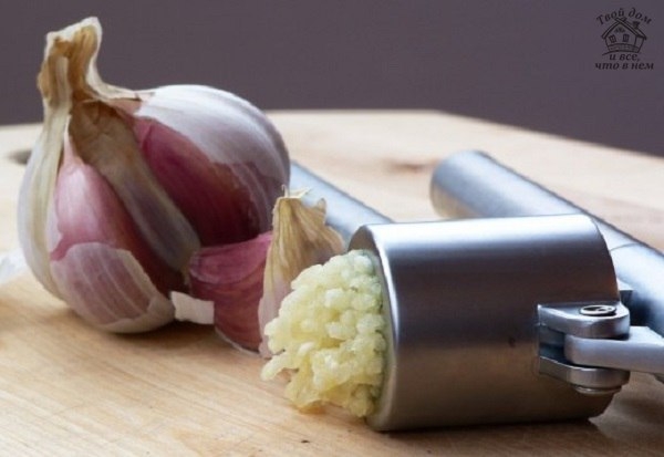 10 продуктов, помогающих победить рак. 10 продуктов, помогающих победить рак.