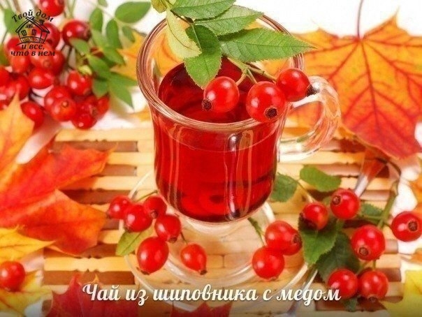 5 ВАРИАНТОВ ВКУСНЫХ И ПОЛЕЗНЫХ ЧАЙНЫХ НАПИТКОВ 5 ВАРИАНТОВ ВКУСНЫХ И ПОЛЕЗНЫХ ЧАЙНЫХ НАПИТКОВ