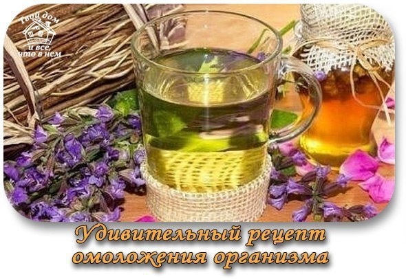Удивительный рецепт омоложения организма Удивительный рецепт омоложения организма