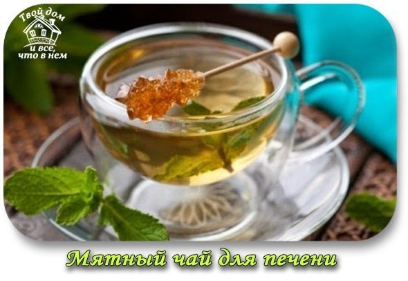 Мятный чай для печени Мятный чай для печени