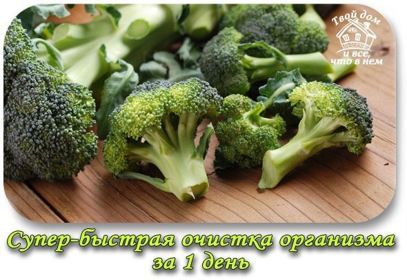 Супер-быстрая очистка организма за 1 день! Супер-быстрая очистка организма за 1 день!