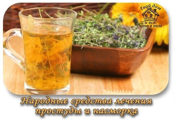 Простуда, насморк.Народные средства лечения. Простуда, насморк.Народные средства лечения.
