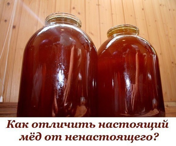 1. Настоящий мёд засахаривается снизу, а не сверху. 1. Настоящий мёд засахаривается снизу, а не сверху.