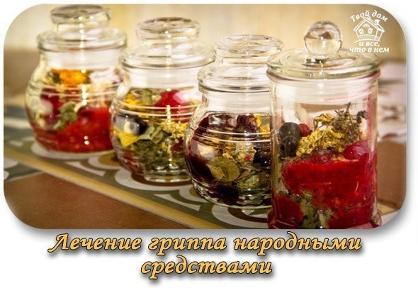 Лечение гриппа народными средствами Лечение гриппа народными средствами