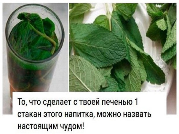 То, что сделает с твоей печенью 1 стакан этого напитка, можно назвать настоящим чудом!
