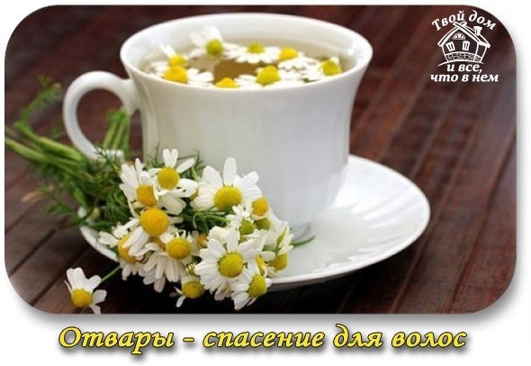 Отвары - спасение для волос Отвары - спасение для волос