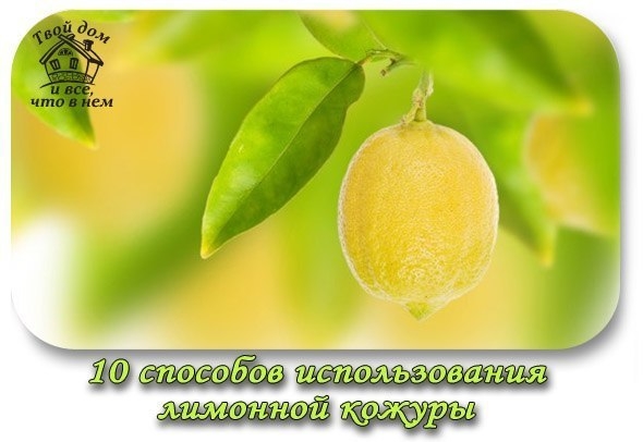 10 способов использования лимонной кожуры