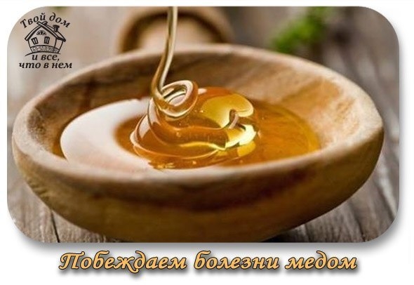 Побеждаем болезни медом!