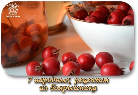 7 народных рецептов из боярышника