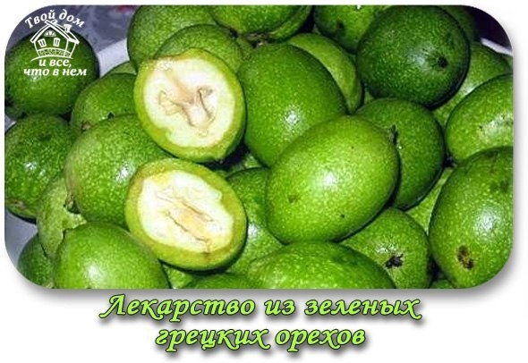 Лекарство из зеленых грецких орехов для улучшения зрения и общего оздоровления организма