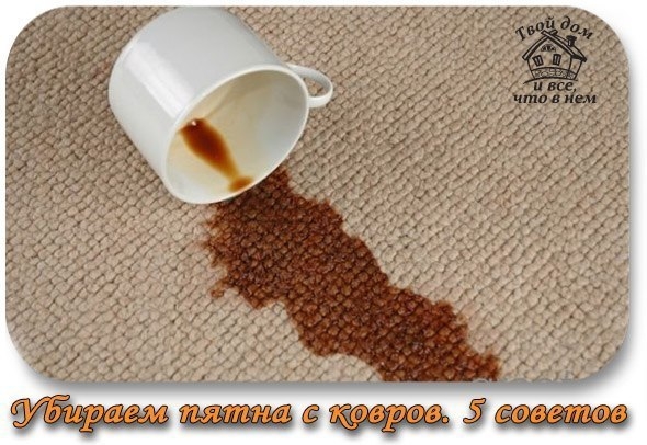 УБИРАЕМ ПЯТНА С КОВРОВ. 5 СОВЕТОВ