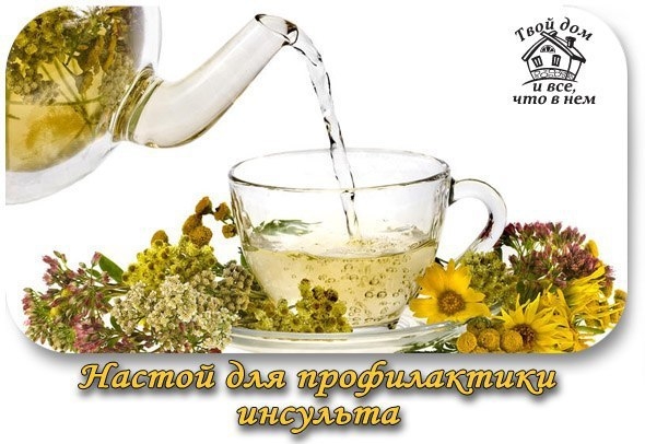 НАСТОЙ ДЛЯ ПРОФИЛАКТИКИ ИНСУЛЬТА