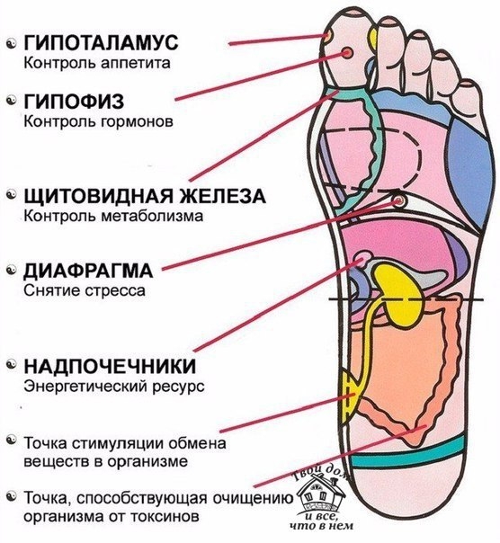 7 АКТИВНЫХ ТОЧЕК НА СТОПЕ ВЕРНУТ ТЕБЯ К ЖИЗНИ ЗА ПАРУ МИНУТ!