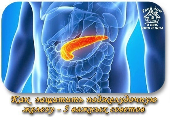 Как защитить поджелудочную железу &mdash; 5 важных советов