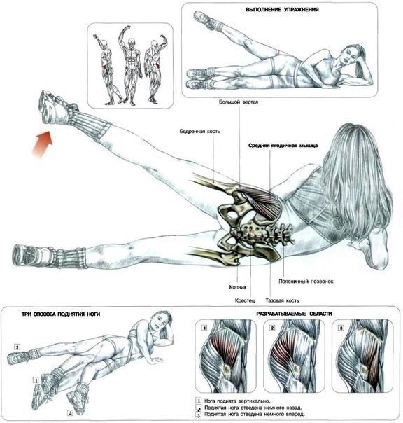 Лучшие упражнения на ягодицы, бедра и икры