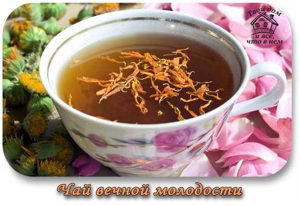 Чай вечной молодости