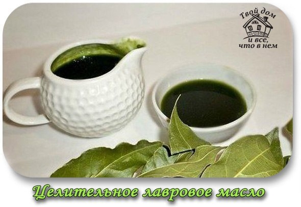 Целительное лавровое масло.