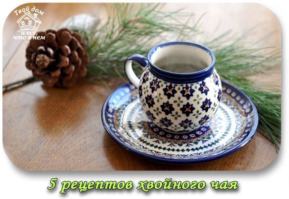 ХВОЙНЫЕ ЧАИ