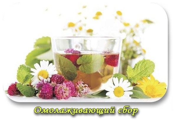 Омолаживающий сбор.