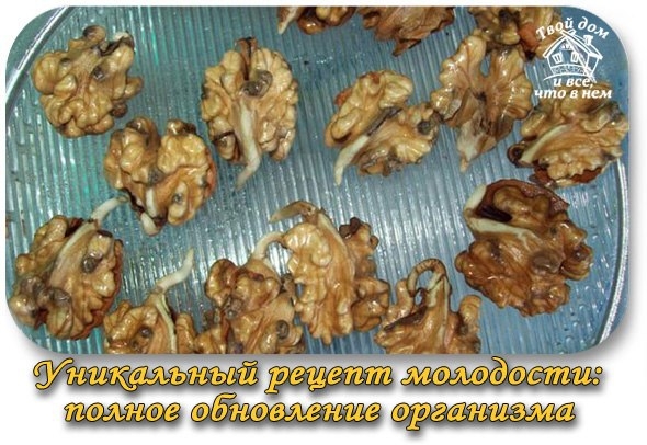 Уникальный рецепт молодости: полное обновление организма