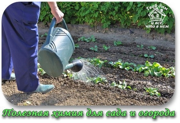Полезная химия для сада и огорода. Действуем с умом!